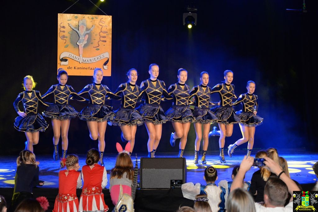 ../Images/Dansmarieke festival 2018 114.jpg